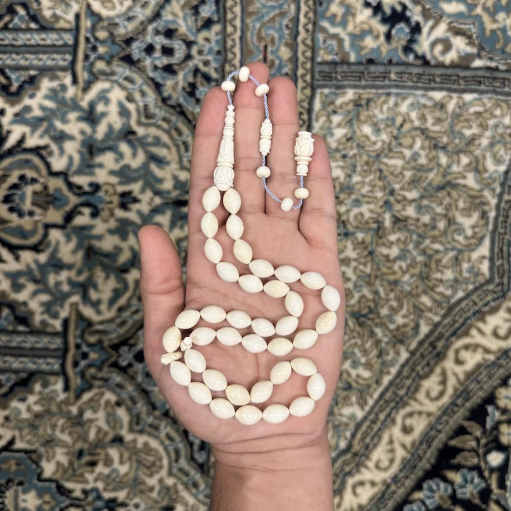 عاج ناب الفيل