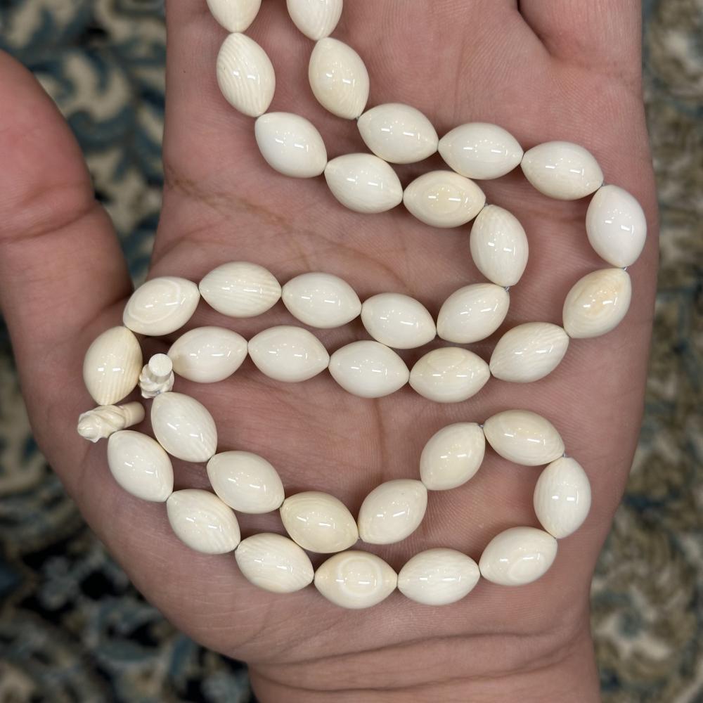 عاج ناب الفيل