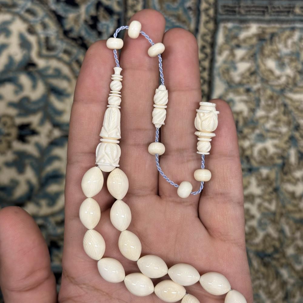 عاج ناب الفيل