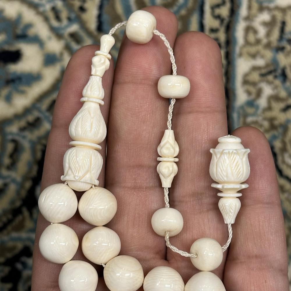عاج ناب الفيل