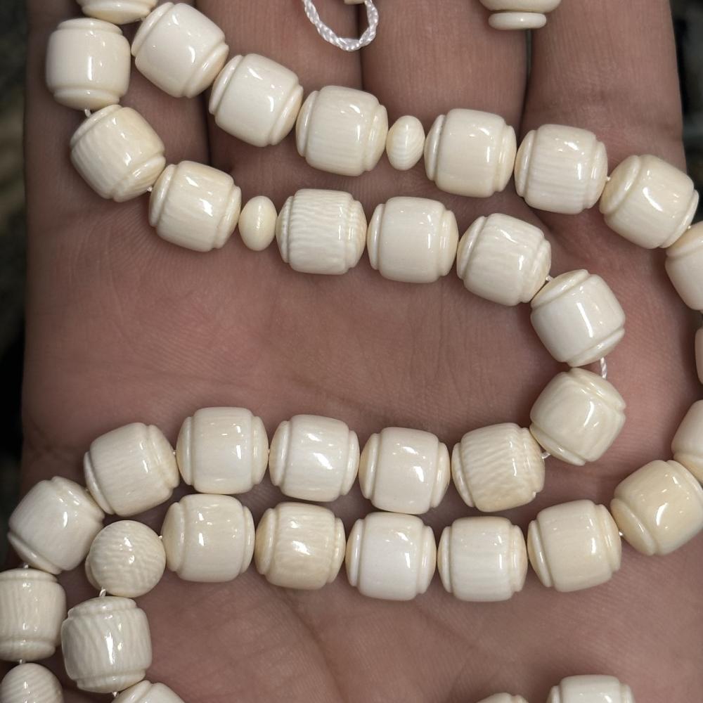 عاج ناب الفيل