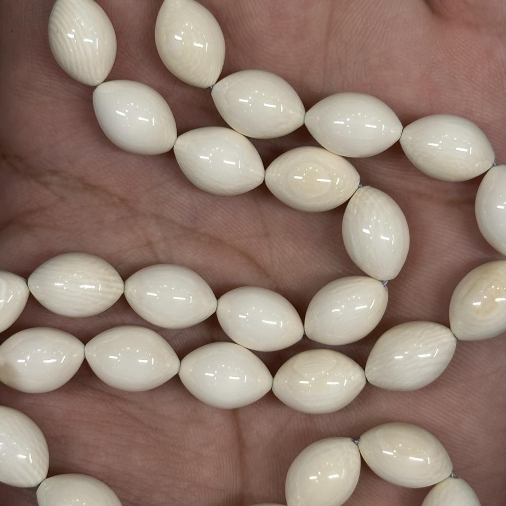 عاج ناب الفيل