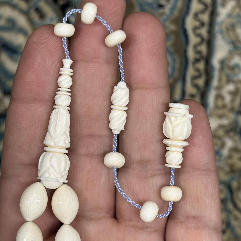 عاج ناب الفيل