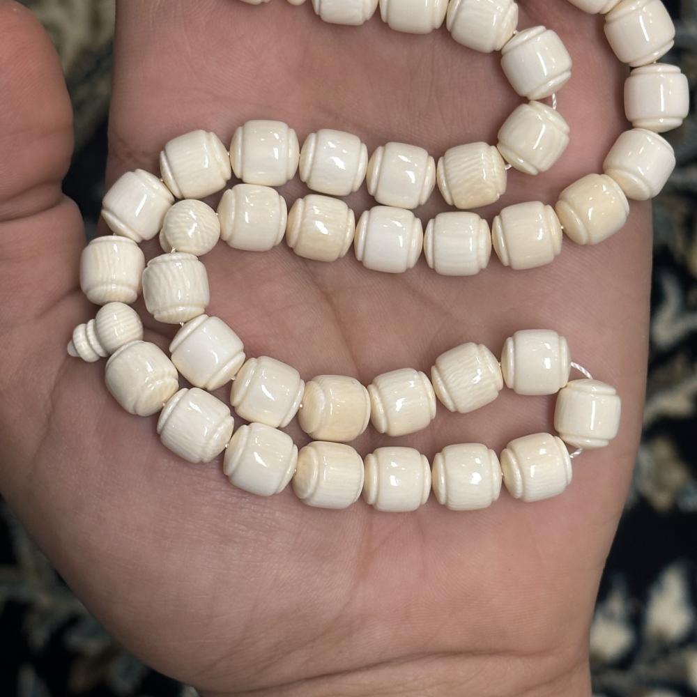 عاج ناب الفيل