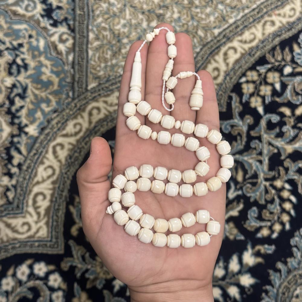 عاج ناب الفيل