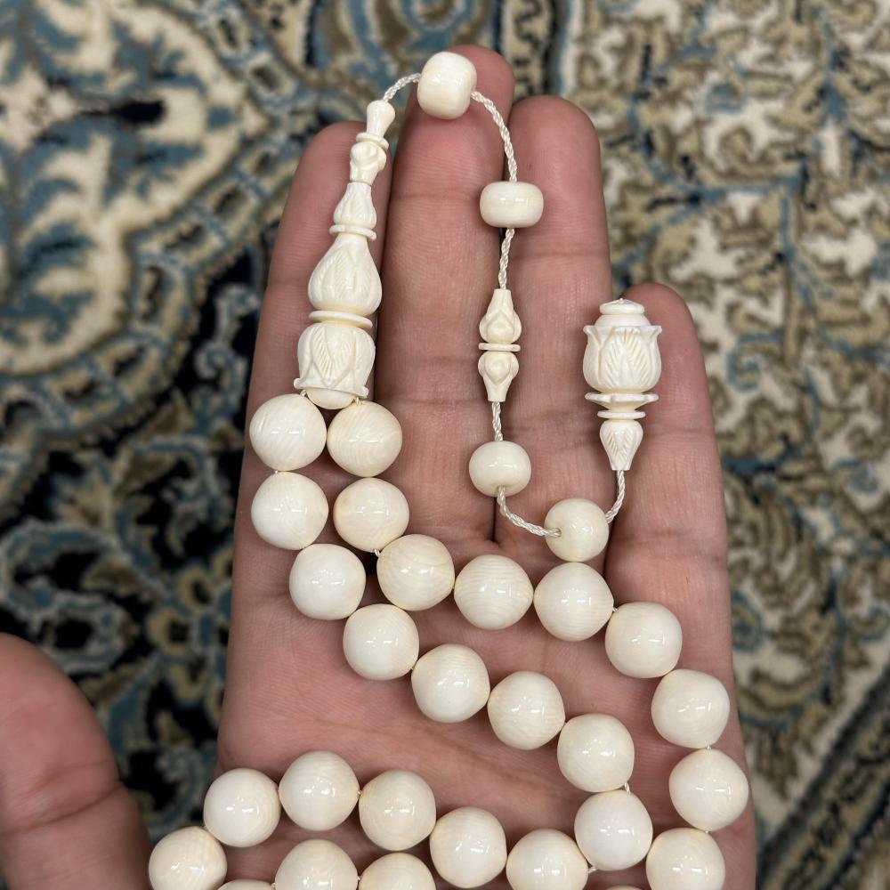 عاج ناب الفيل