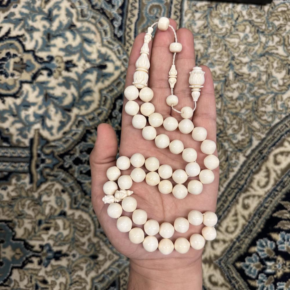 عاج ناب الفيل