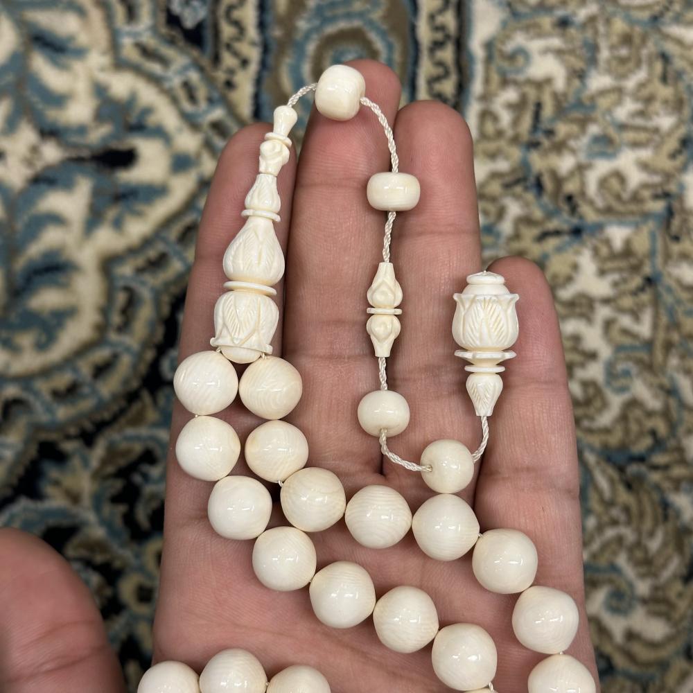 عاج ناب الفيل