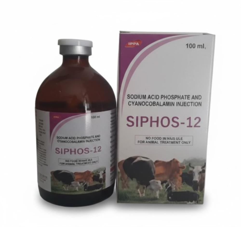 Cephos 12 | 100 ml | Phosphorus and Vitamin B12 Injection | Treatment for emaciated sheep by IPPA