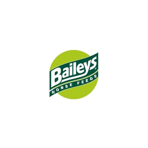 شركة باليز BAILEYS  الانجليزية