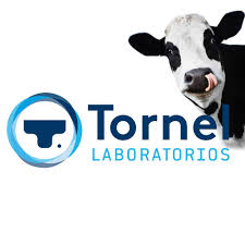 Tornel