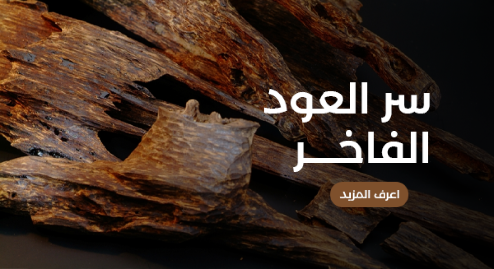 سر العود الفاخر من قلب الطبيعة