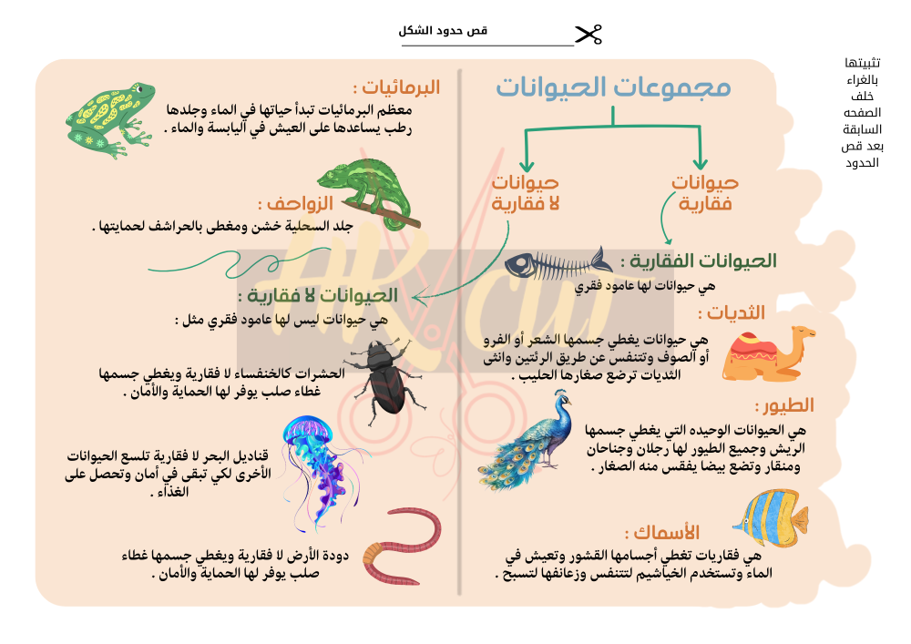 مطوية مجموعات الحيوانات - ثاني ابتدائي - ف 1