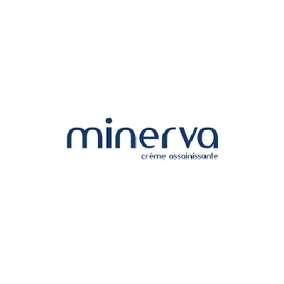 minerva - مينرفا