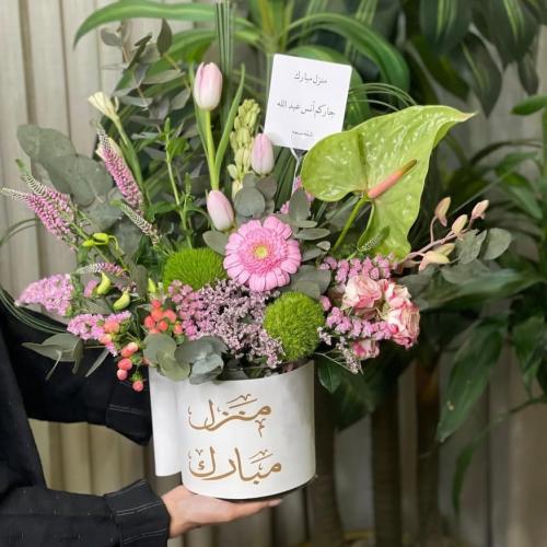 بوكس منزل مبارك