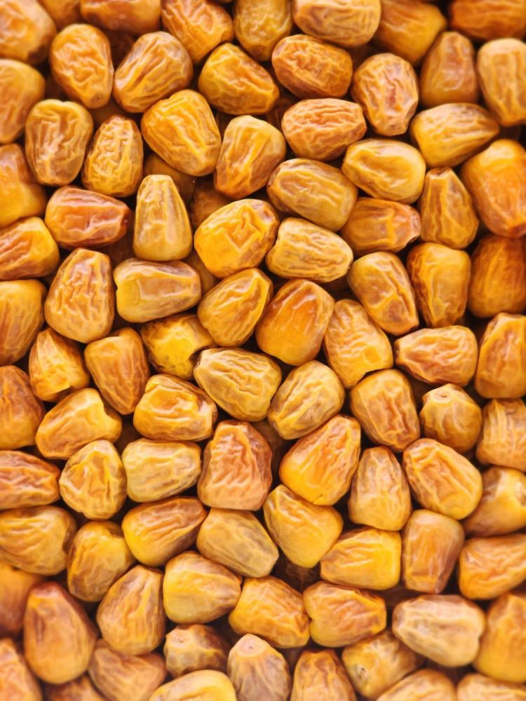 سكري مفتل فاخر