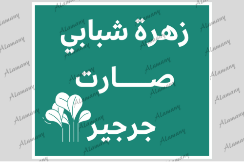 زهرة شبابي صارت جرجير
