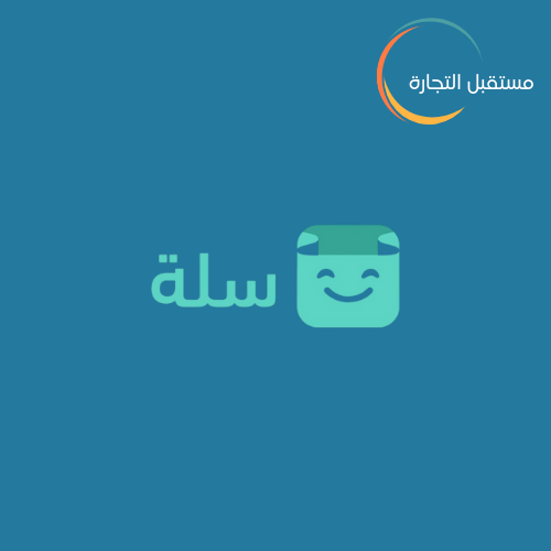 تصميم متجر سلة على أي ثيم مدفوع