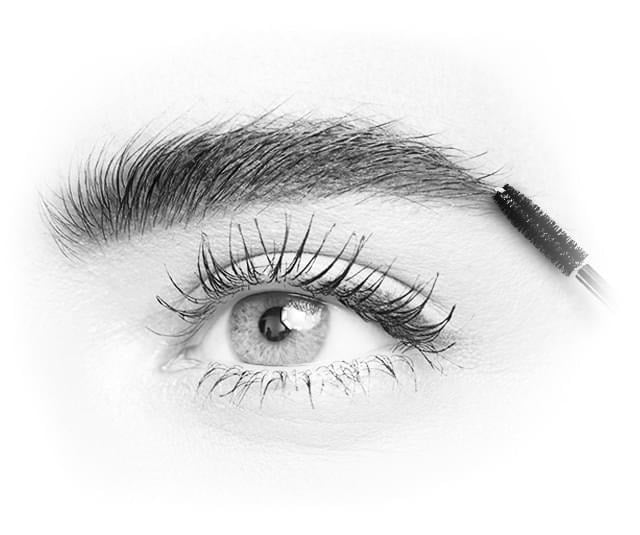 Eyebrows