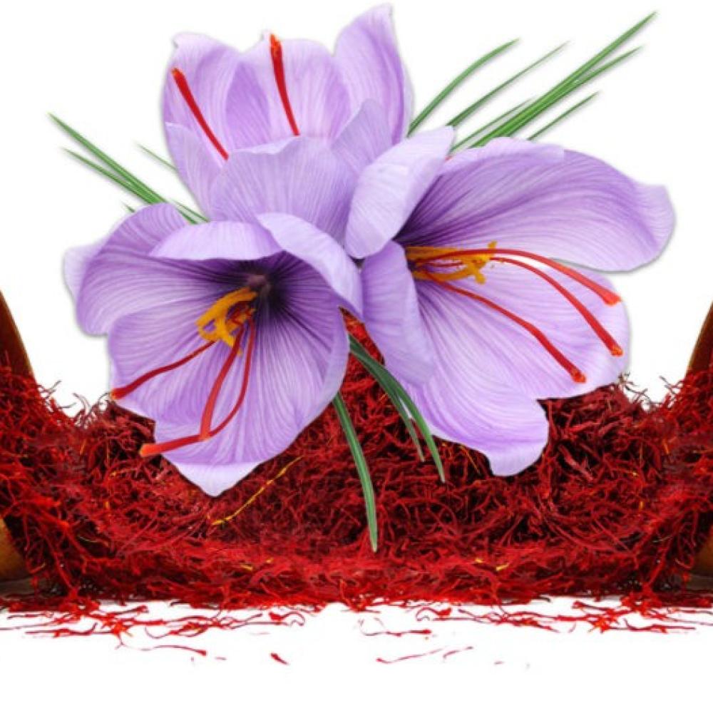لماذا يُعد زعفران سوبر نقيل خيار الخبراء في 2025 ؟ كل ما تحتاج معرفته قبل الشراء