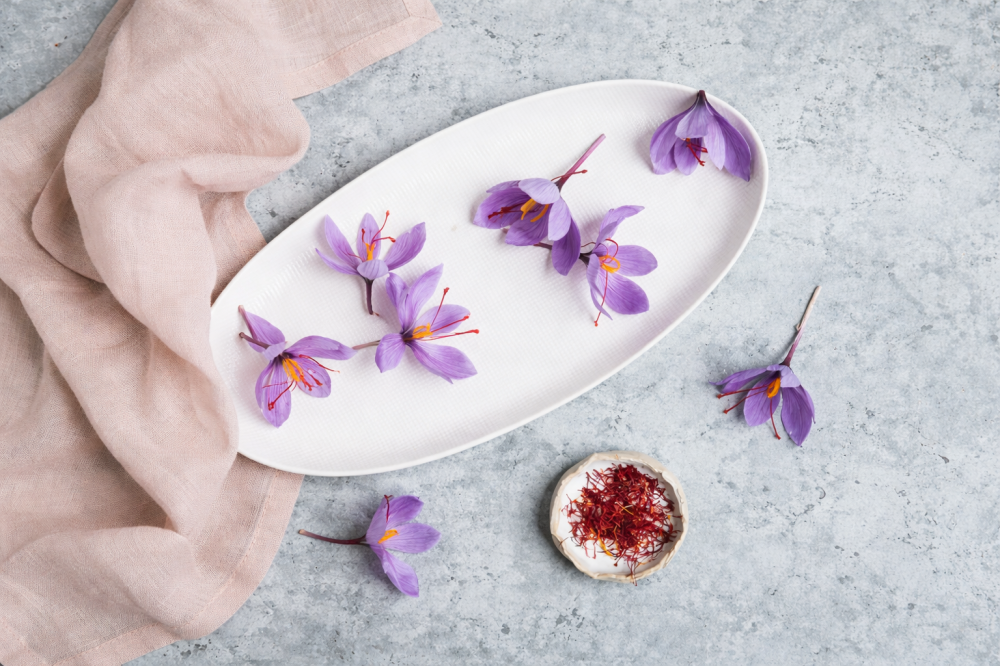 كيف يتم زراعة الزعفران وجمعه؟ رحلة الذهب الأحمر من الأرض إلى يدك