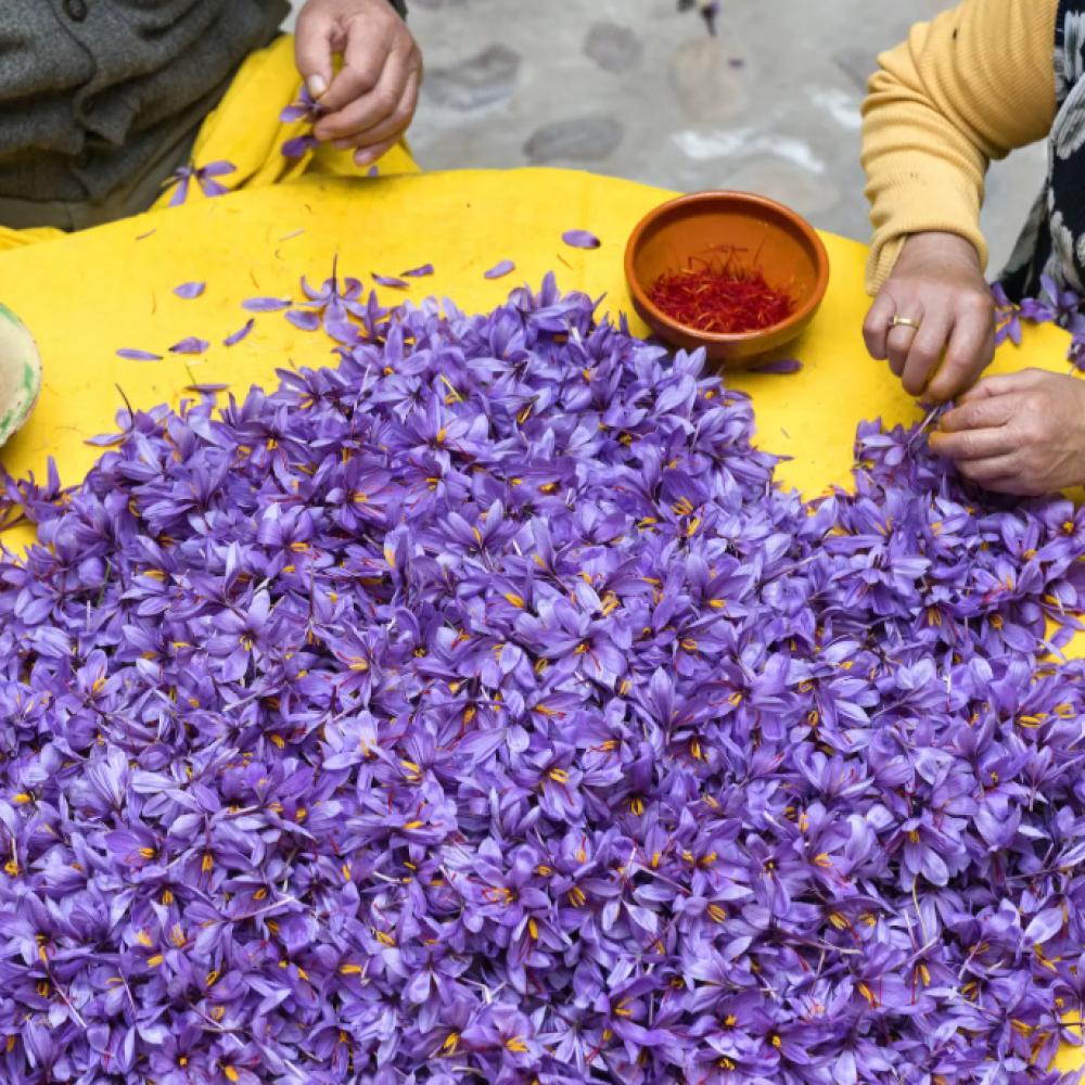 تعرف على أفضل أنواع الزعفران الفاخر في السوق السعودي 2025