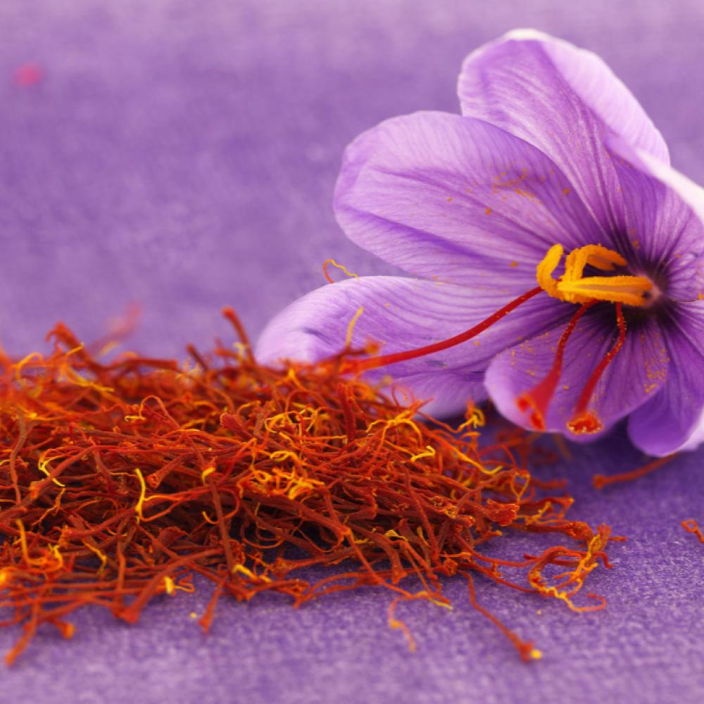 استخدامات منتجات الزعفران في الطب البديل و العناية بالبشرة و الشعر 2025