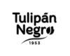 توليبان نيجرو | Tulipan Negro