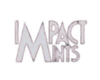 امباكت انتس | IMPACT INTS