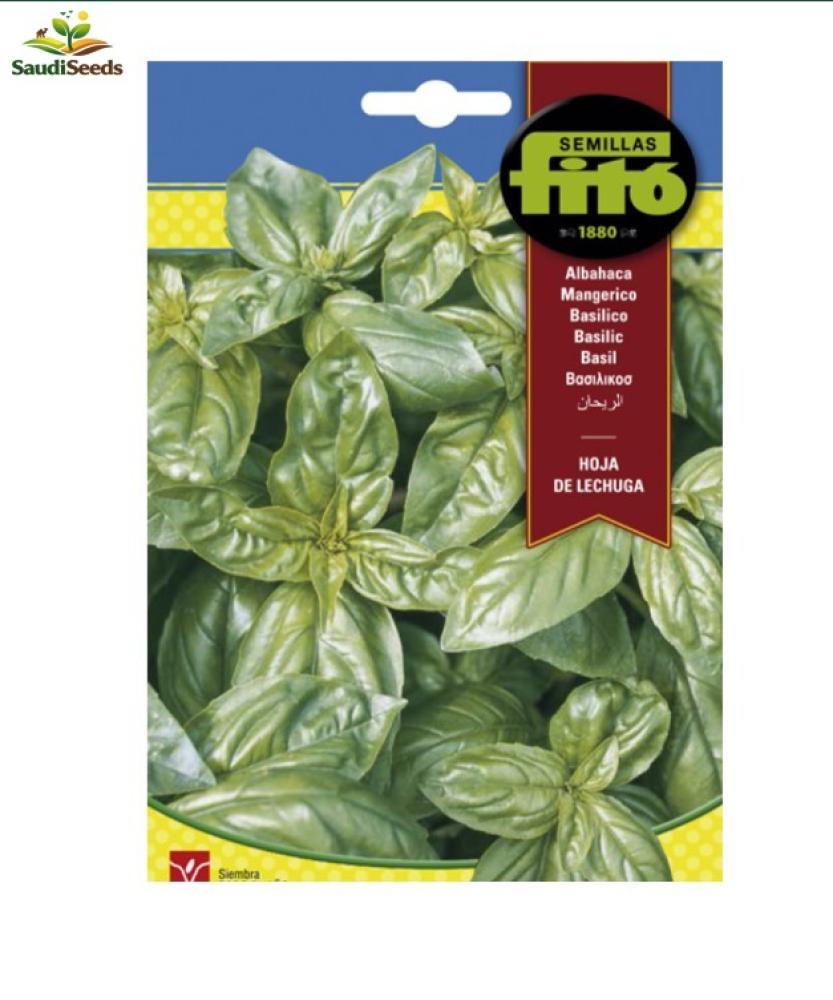 ريحان ليشوجا 4 ونصف جم Leshouja Basil Seeds
