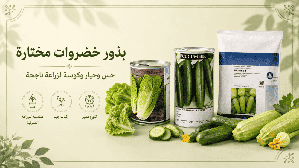 مواعيد زراعة الخضروات في السعودية حسب الموسم والمنطقة