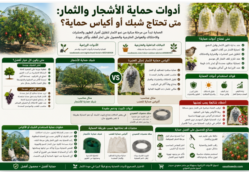 أدوات حماية الأشجار والثمار: متى تحتاج شبك أو أكياس حماية؟