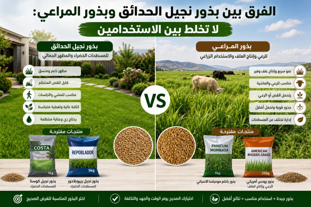 الفرق بين بذور النجيل وبذور المراعي واستخدام كل نوع