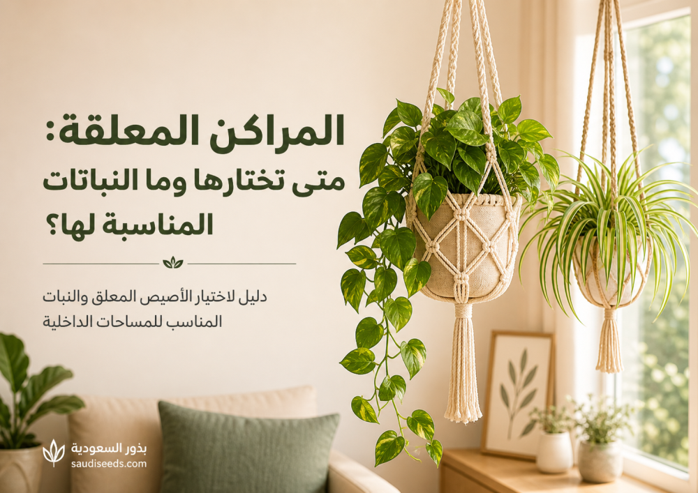 مراكن معلقة: متى تختارها وما النباتات المناسبة لها؟