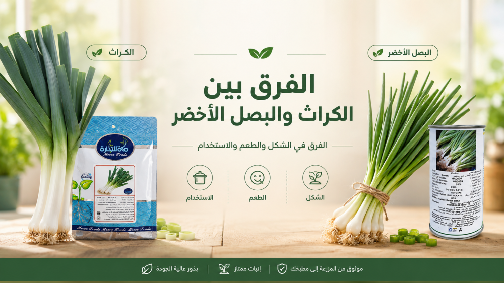 الفرق بين الكراث والبصل الأخضر