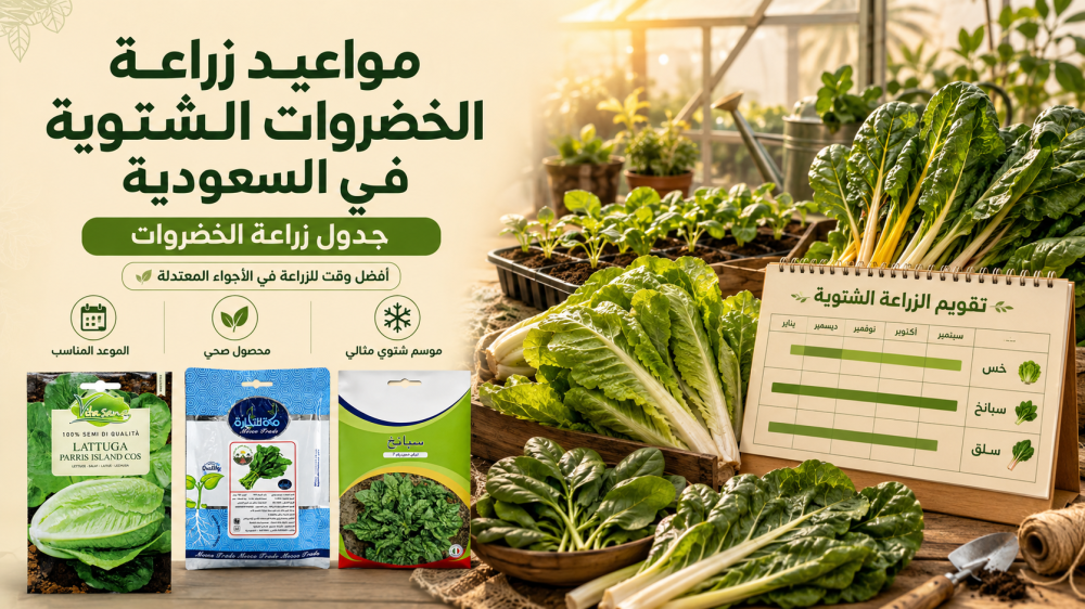 مواعيد زراعة الخضروات الشتوية في السعودية