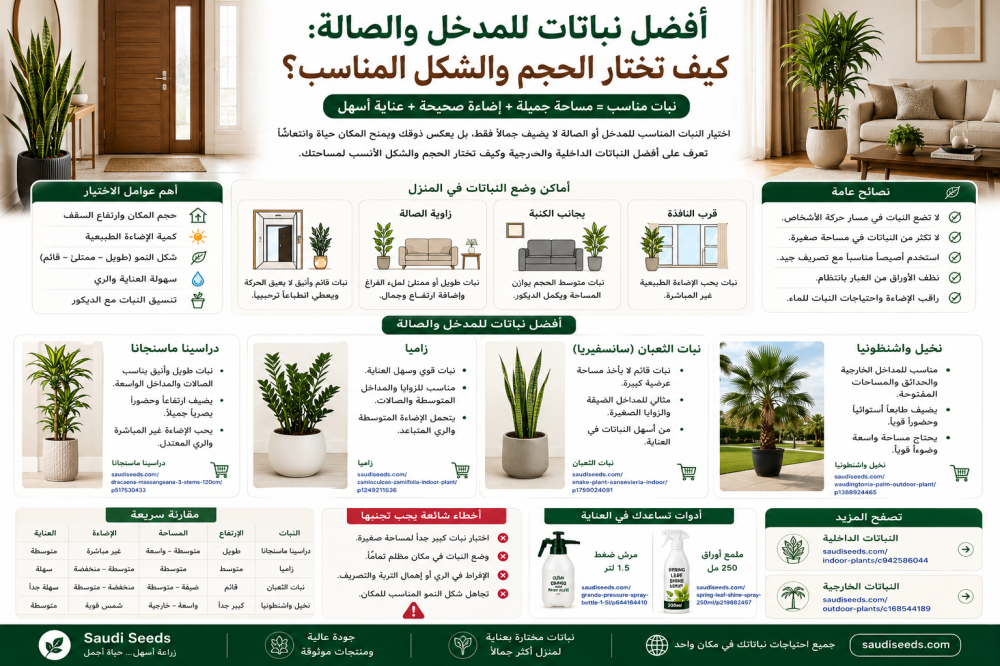 أفضل نباتات للمدخل والصالة: كيف تختار الحجم والشكل المناسب؟