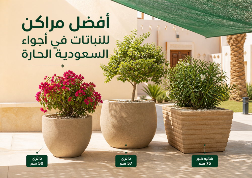 أفضل مراكن للنباتات في السعودية والأجواء الحارة