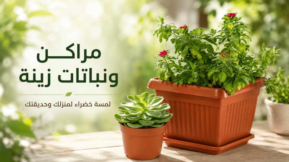 ما هي فوائد النباتات الطبيعية للمنزل والمكتب؟