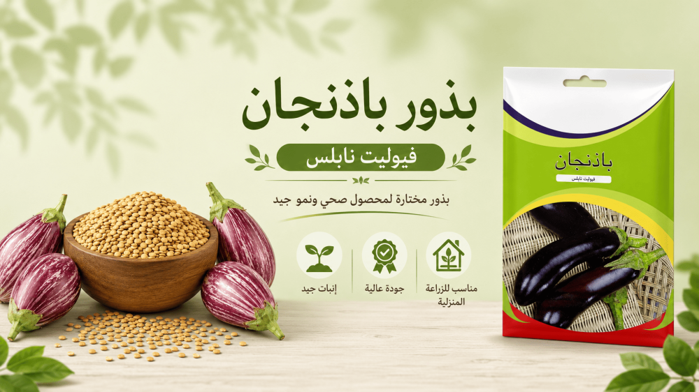 كيف تفرق بين الباذنجان الذكر والأنثى وهل الفرق حقيقي؟