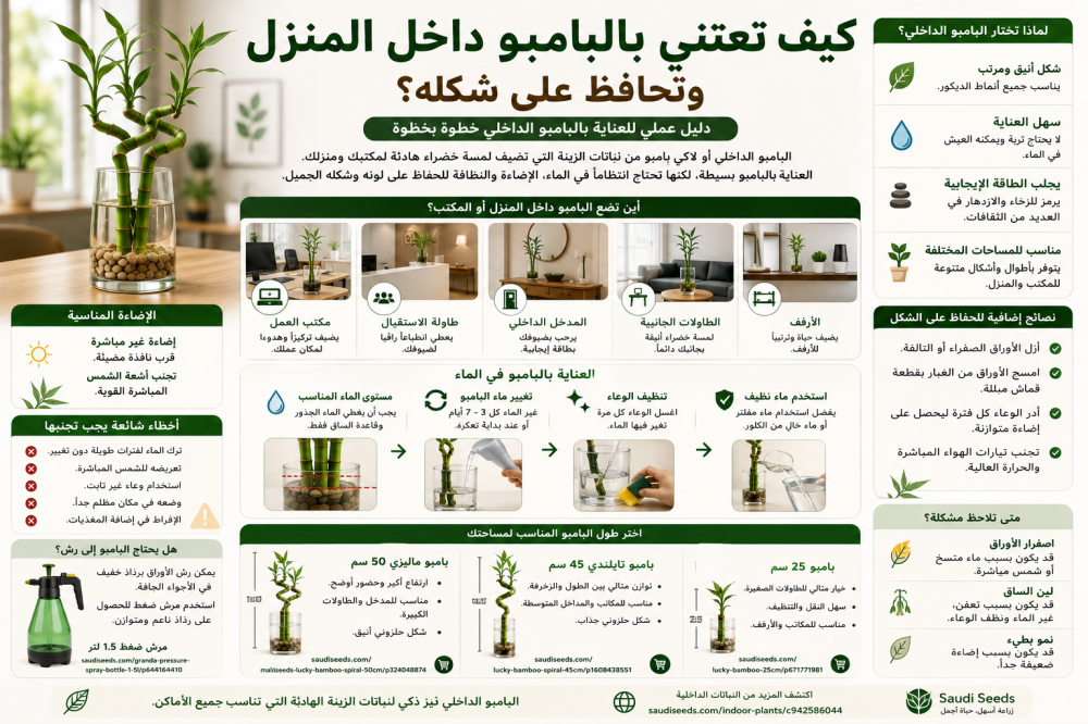 كيف تعتني بالبامبو داخل المنزل وتحافظ على شكله؟