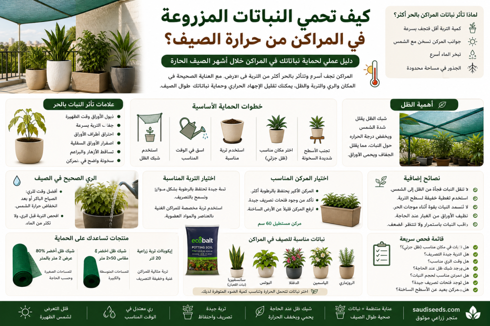 كيف تحمي النباتات المزروعة في المراكن من حرارة الصيف؟