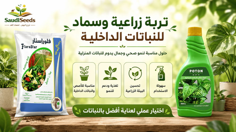 اصفرار أوراق النباتات الداخلية: الأسباب والحلول