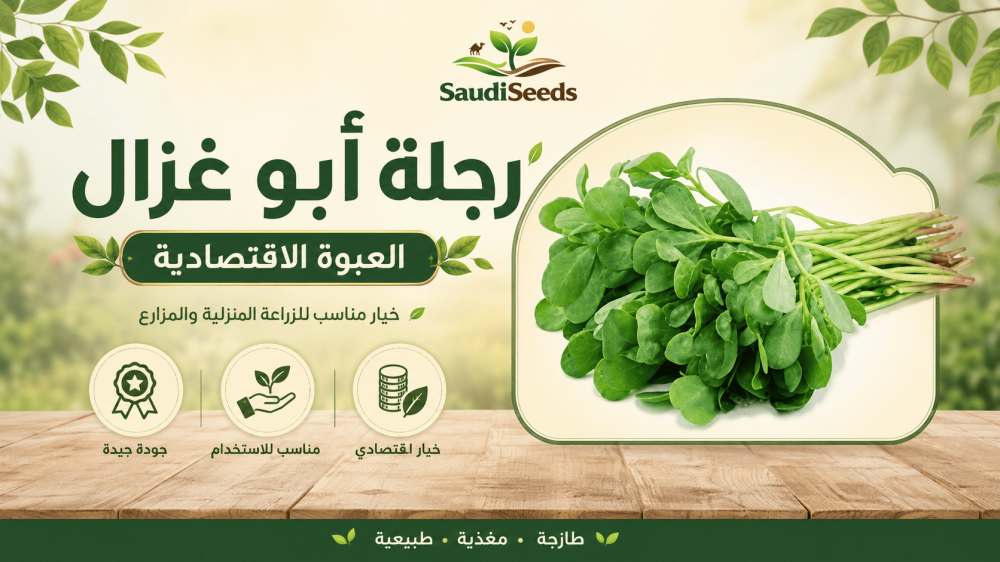 طريقة زراعة الملوخية من البذور ومتى تختارها صيفًا