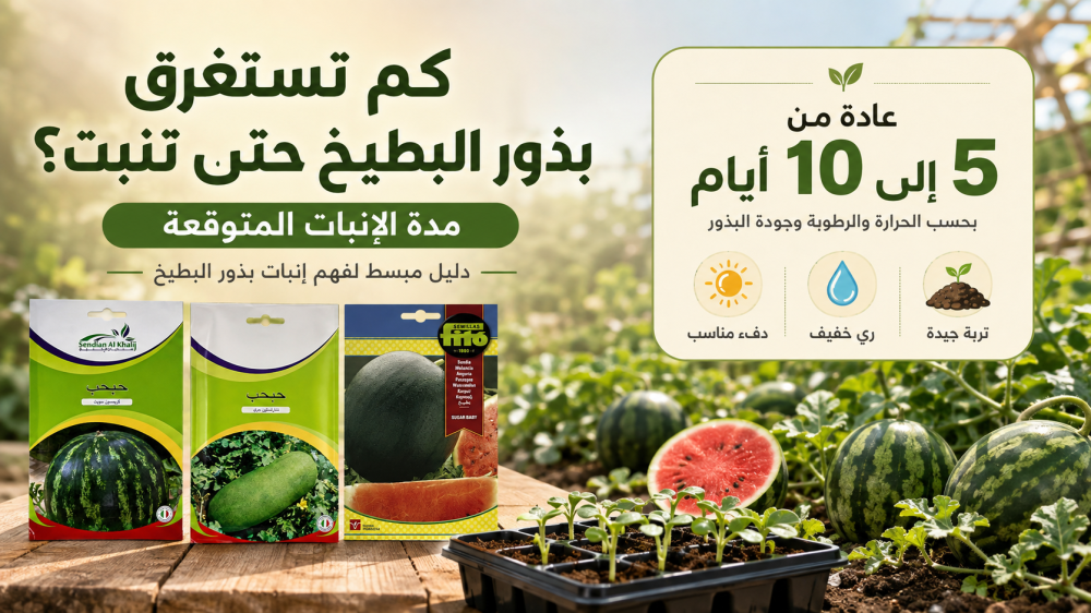 كم تستغرق بذور البطيخ حتى تنبت؟