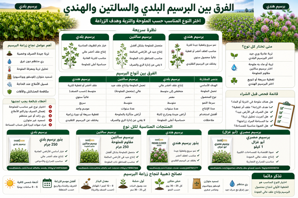 الفرق بين البرسيم البلدي والسالتين والهندي