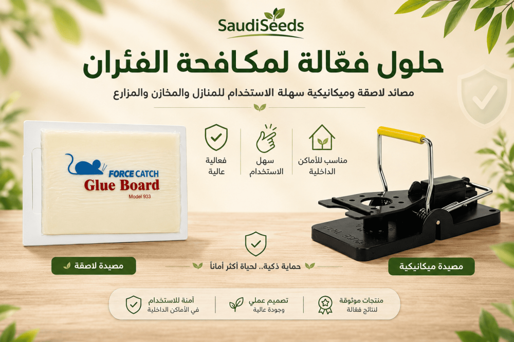 أضرار وجود الفئران في المنزل