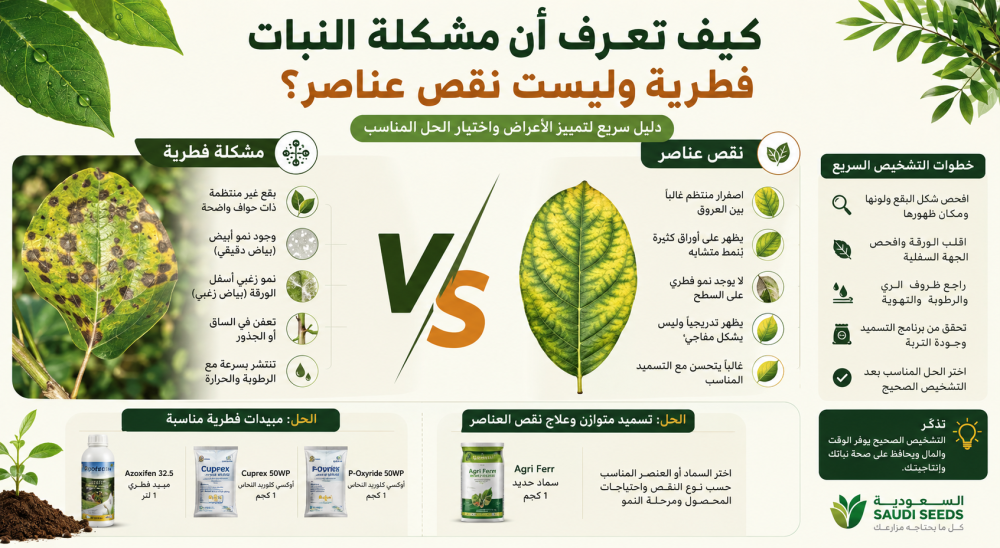 كيف تعرف أن مشكلة النبات فطرية وليست نقص عناصر؟