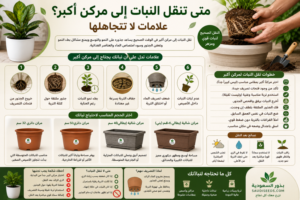 متى تنقل النبات إلى مركن أكبر؟ علامات لا تتجاهلها