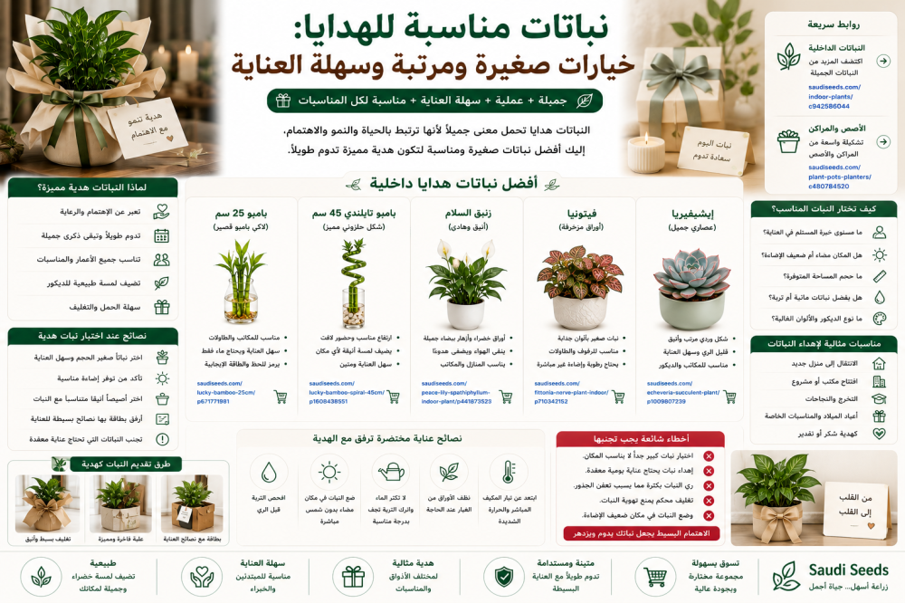 نباتات مناسبة للهدايا: خيارات صغيرة ومرتبة وسهلة العناية